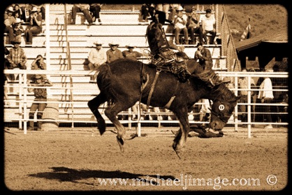 "bucking bronc"
cave creek rodeo 2022 cave creek, az.